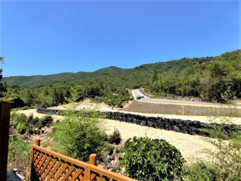 (11/19) 眺望 (11/19) 眺望