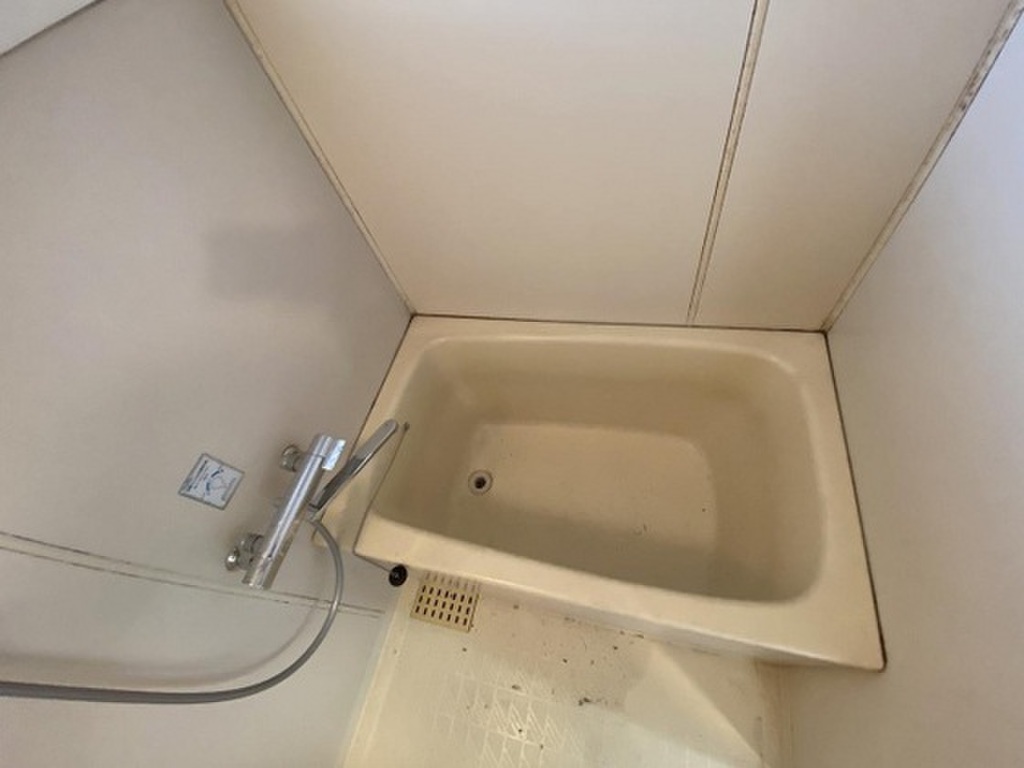 (2/8) バス (2/8) バス