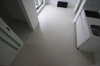 Regalest-Smart Salvia