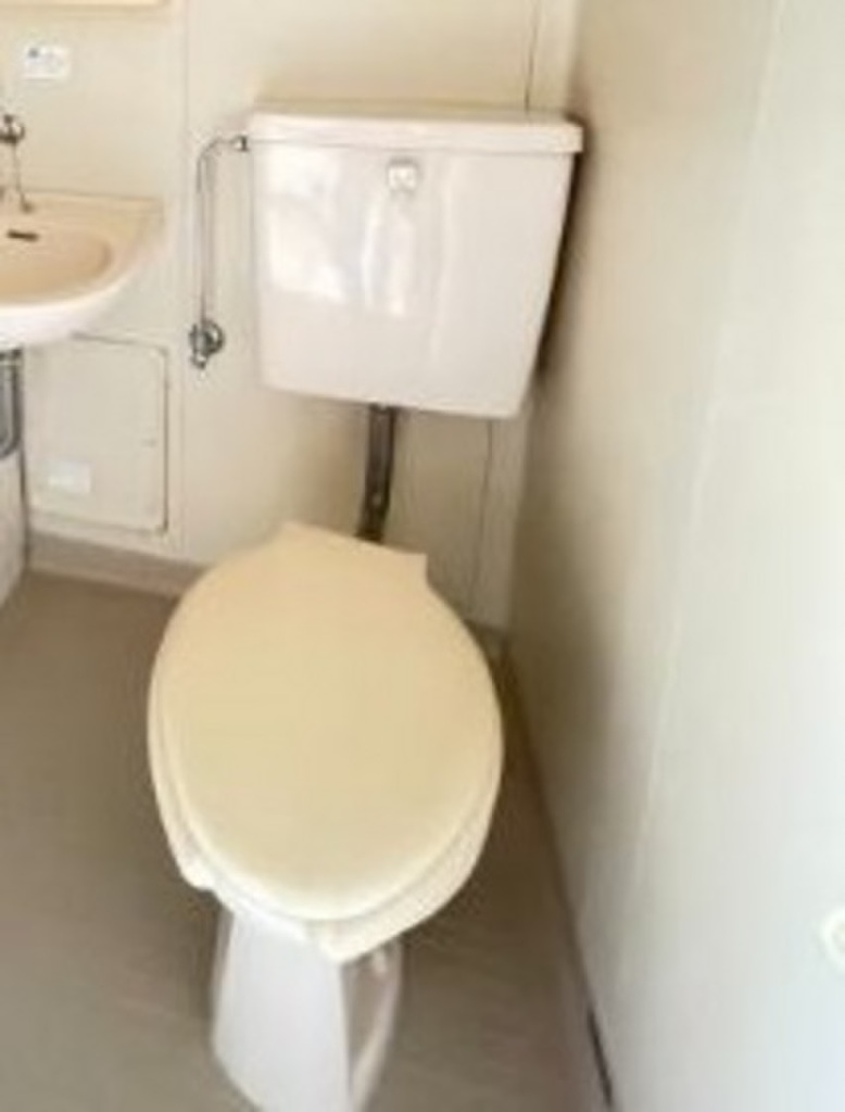 (11/13) トイレ (11/13) トイレ