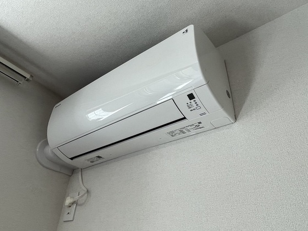 (11/14) 玄関 (11/14) 玄関