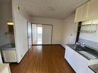 サンサリーレオタミ