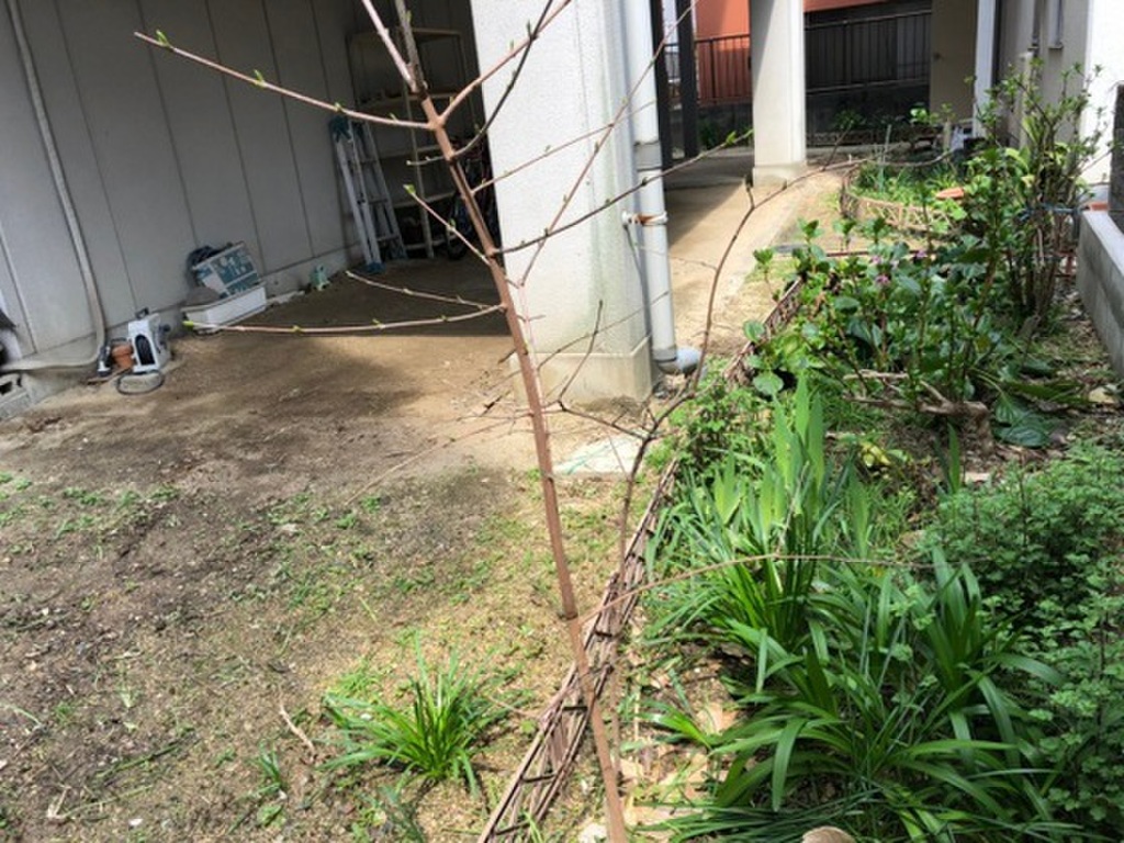 (21/25) その他 (21/25) その他