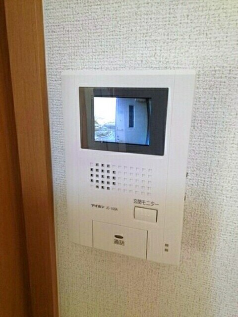 トゥルーランド錦 D