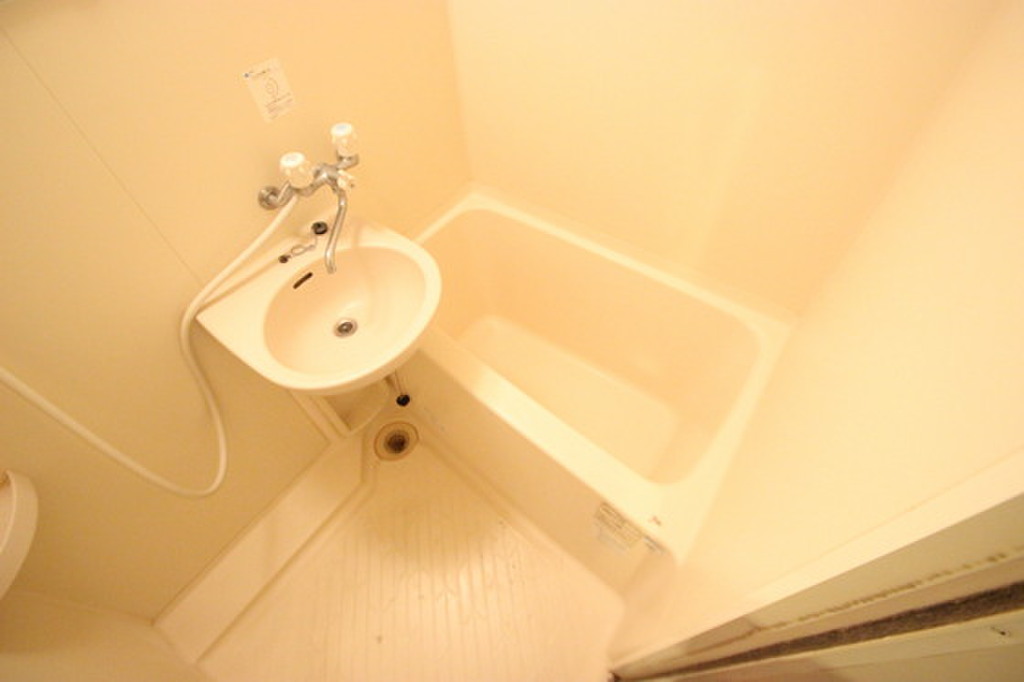 (5/24) バス (5/24) バス