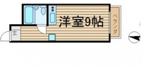 コスモス