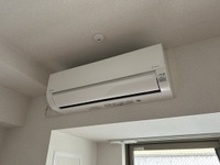 サン ウォーム ニチダン