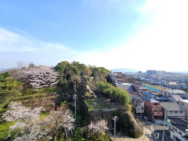 ミュゼ 海老山
