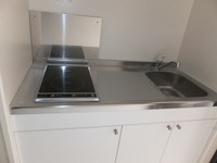 レオネクスト富