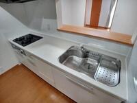 レオネクスト富