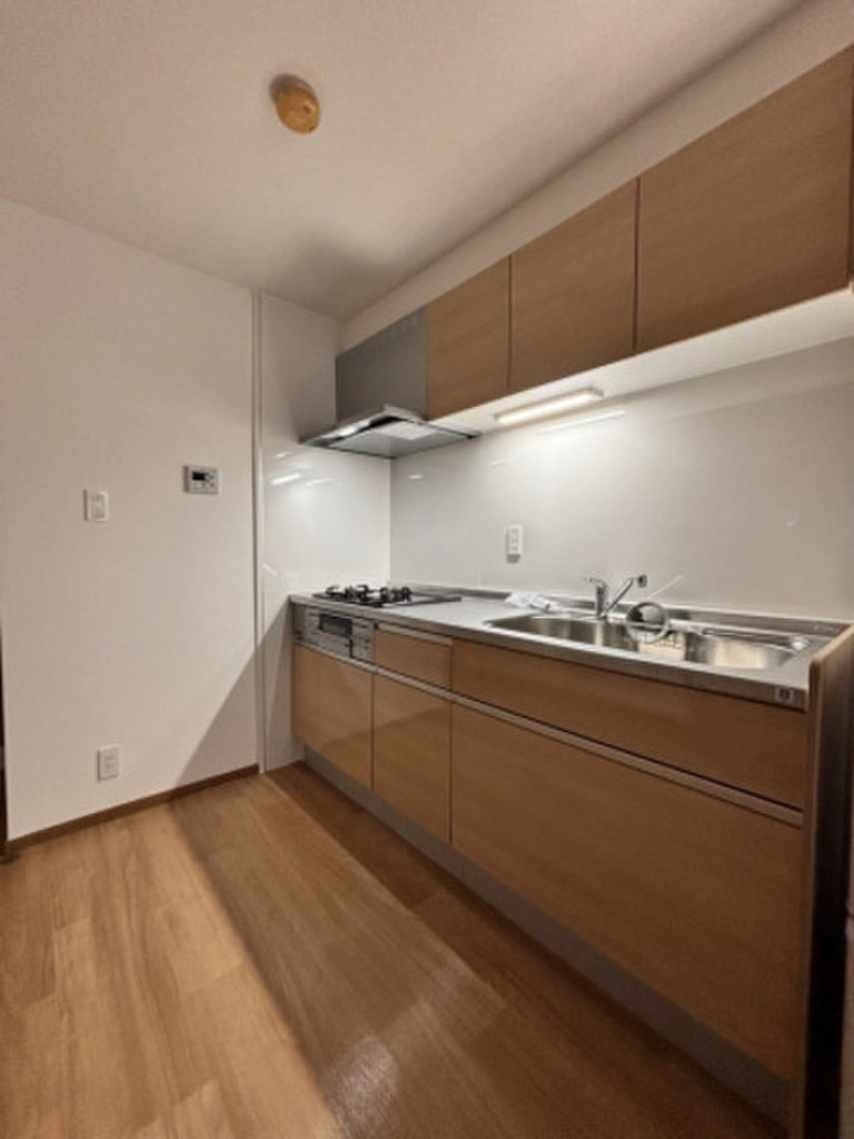 (3/19) キッチン (3/19) キッチン