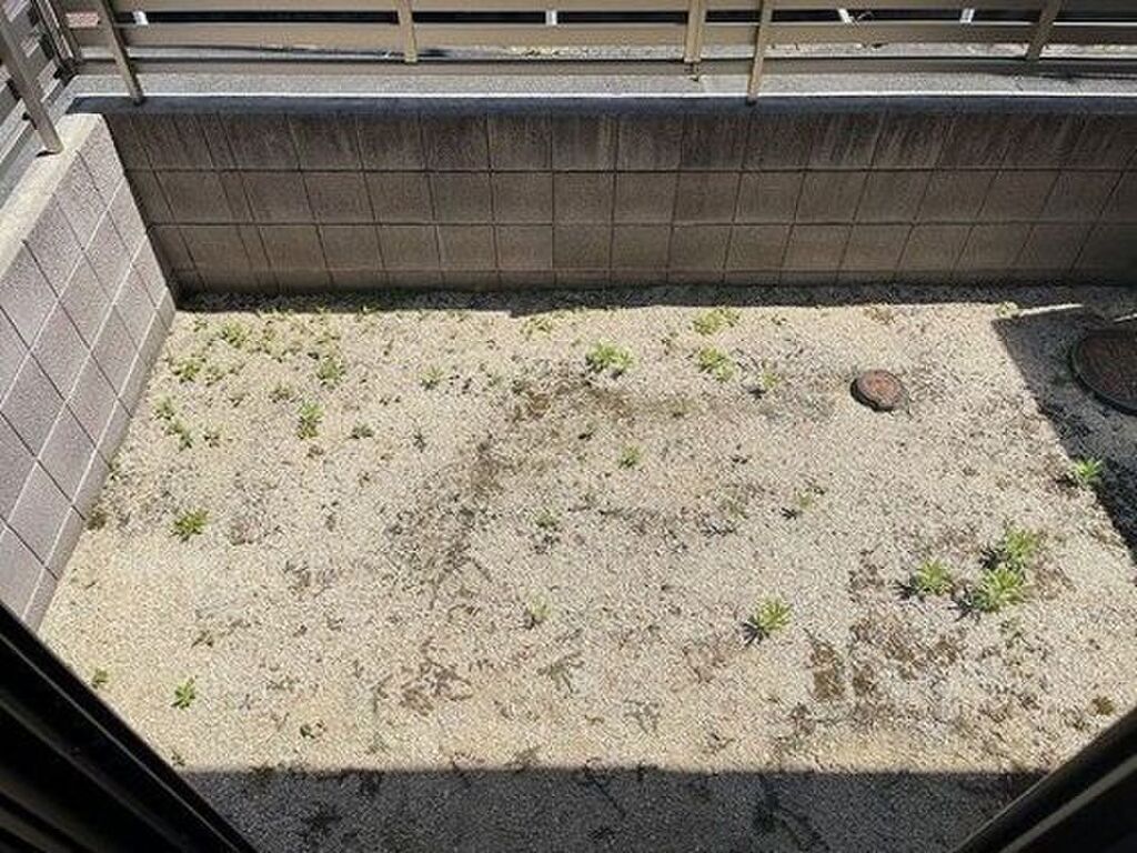 (11/24) 庭 (11/24) 庭