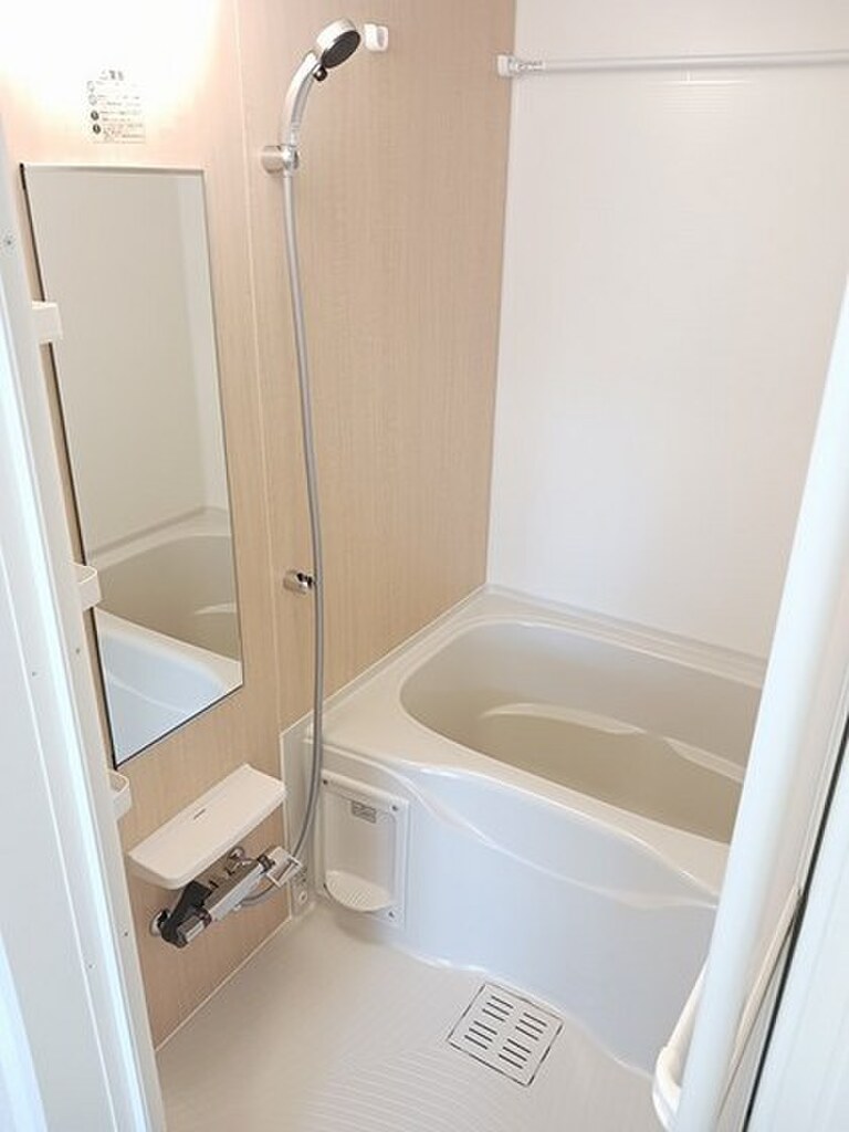 (11/20) バス (11/20) バス