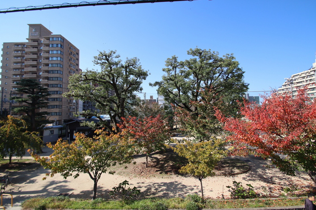 (12/18) 眺望 (12/18) 眺望