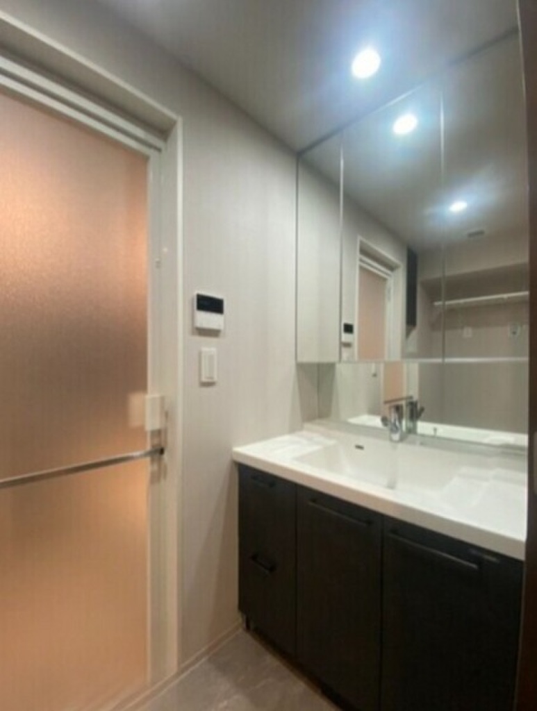 (6/19) 洗面所 (6/19) 洗面所