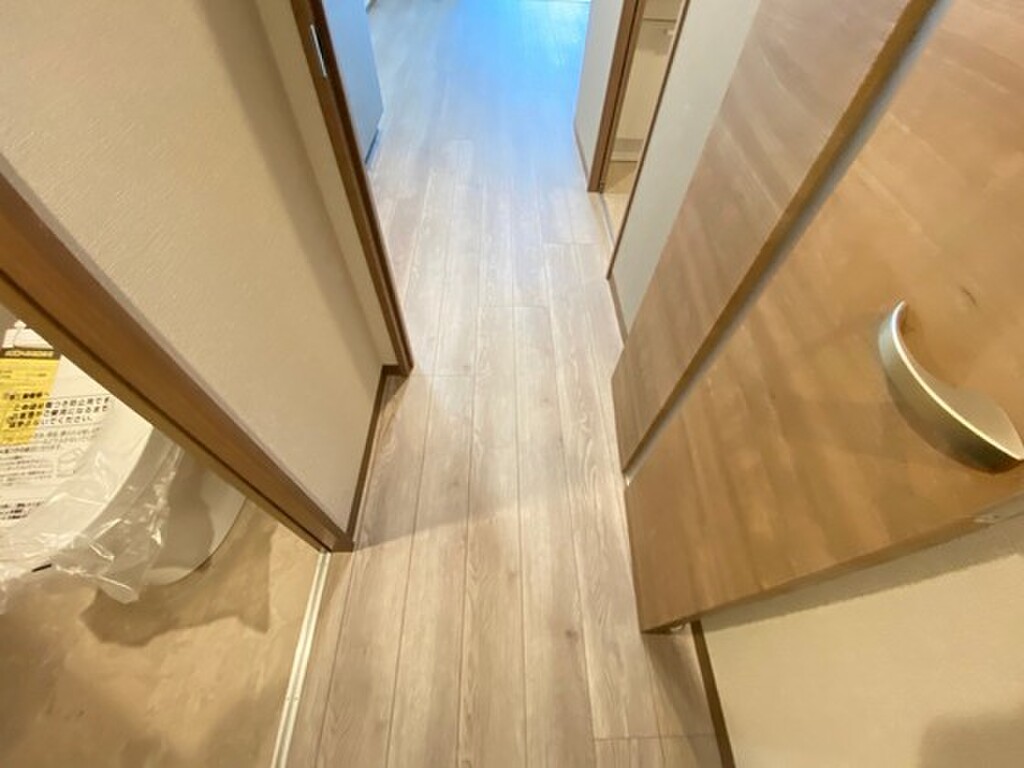 (11/20) 玄関 (11/20) 玄関