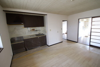 リトルベアー A