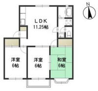 リトルベアー A