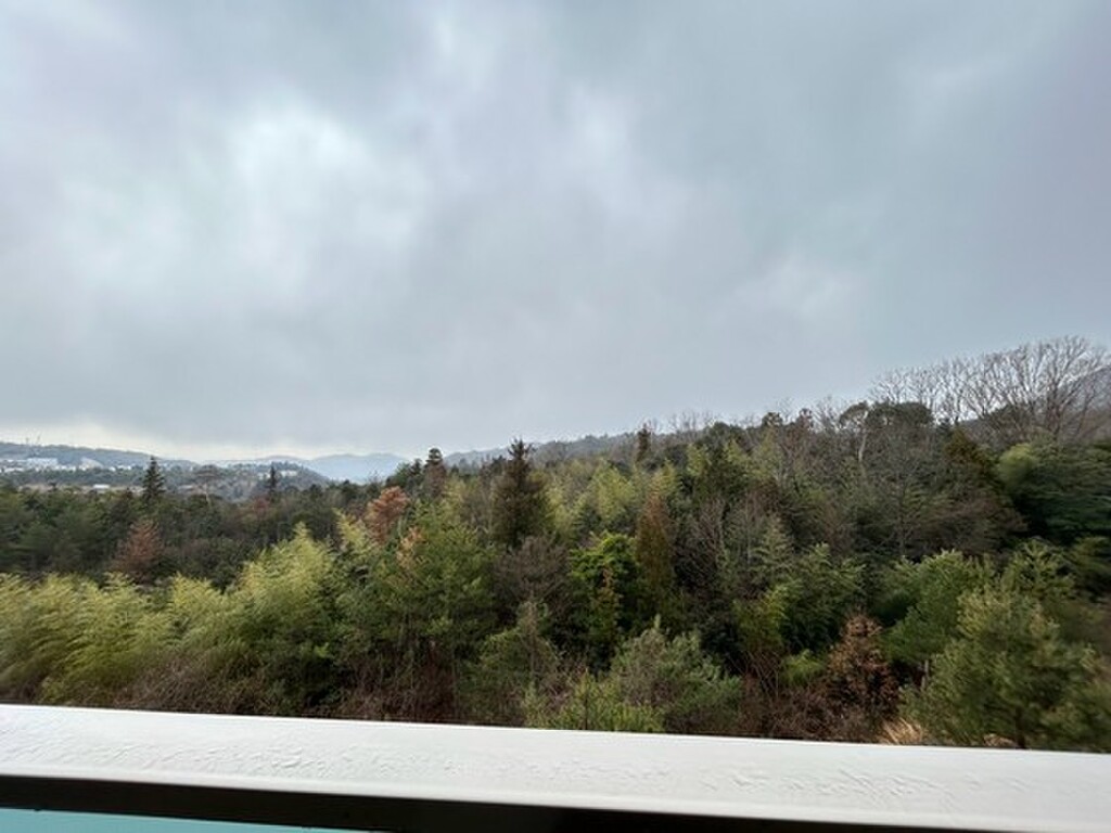 (12/14) 眺望 (12/14) 眺望