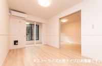 プティパニエ C