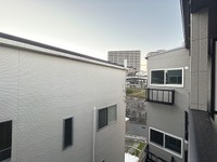 メイユールZAKI No.12