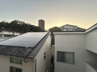 メイユールZAKI No.12