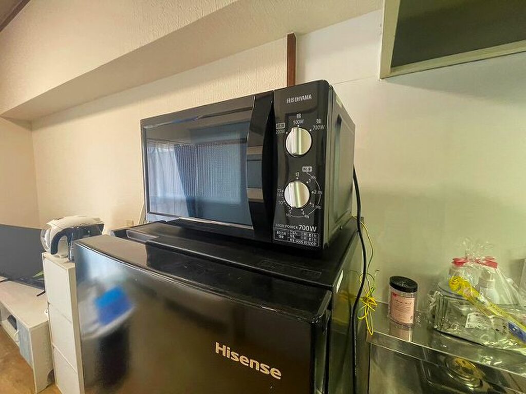 エールマンスリー舟入 1R その他