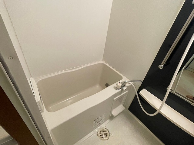  バス