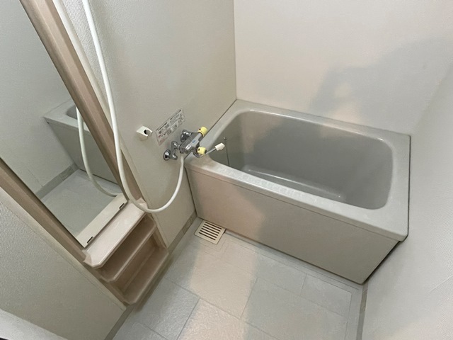   バス