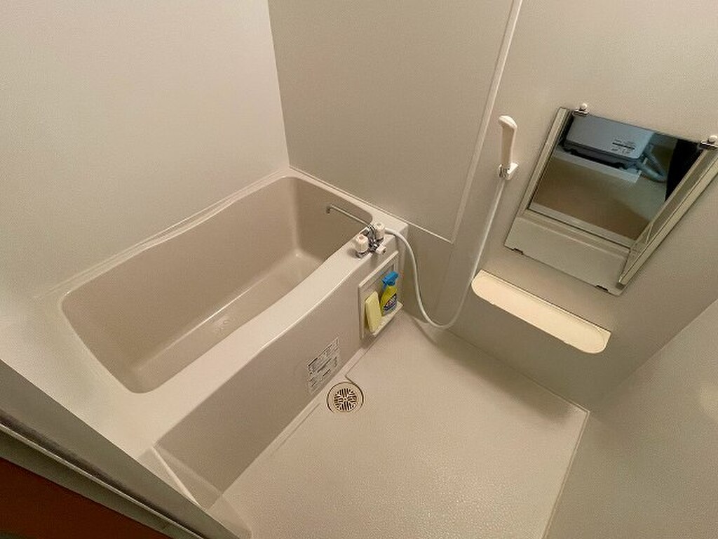 (14/29) バス (14/29) バス