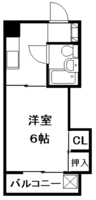 N428Bd