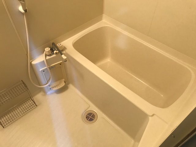   バス