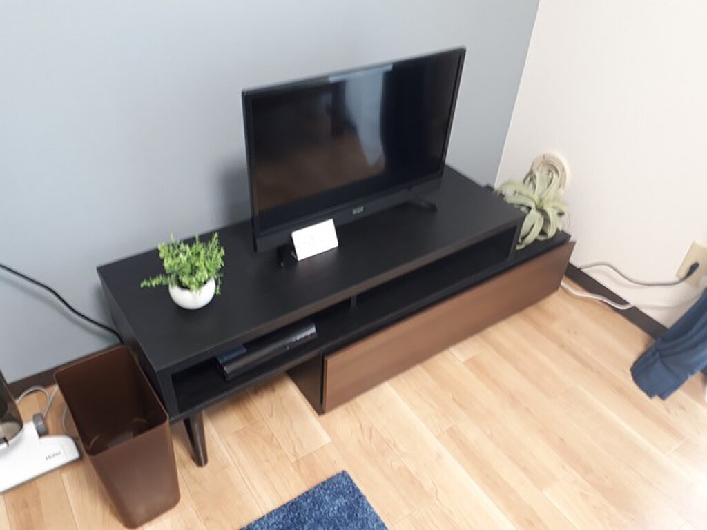 エールマンスリー天神川駅 1K 居室・リビング