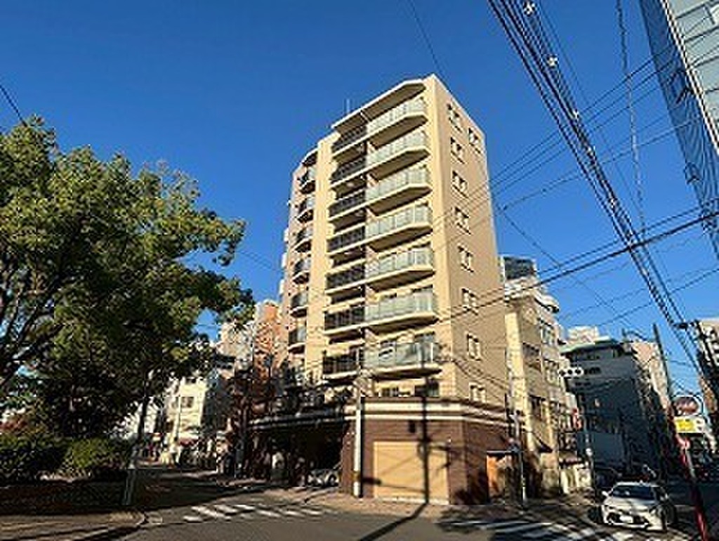 広島駅徒歩圏内☆南区京橋町☆1LDK☆築6年