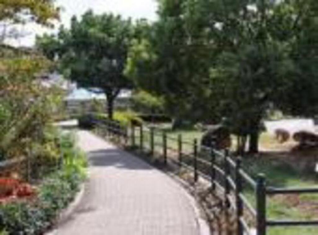 (13/13) 銀行 (13/13) 銀行