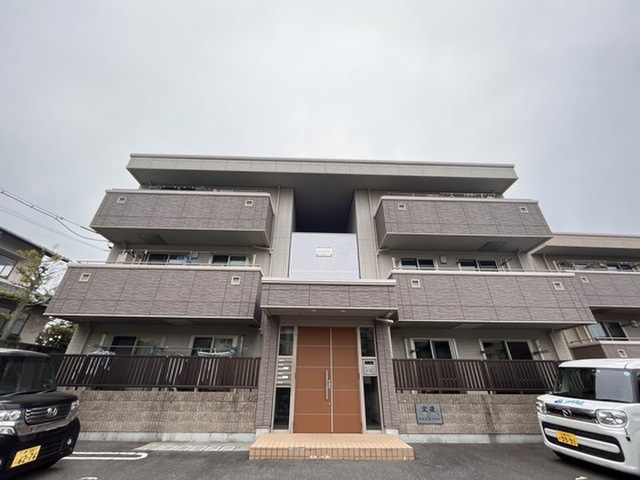 めぐみ古江
