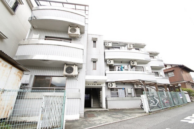 メープル琥珀