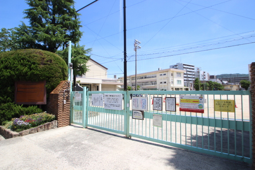 (24/25) 小学校