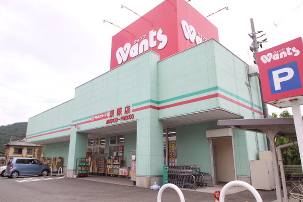 (25/29) ドラッグストア