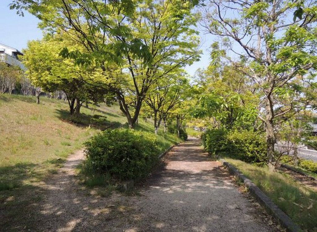 (21/21) 公園 (21/21) 公園