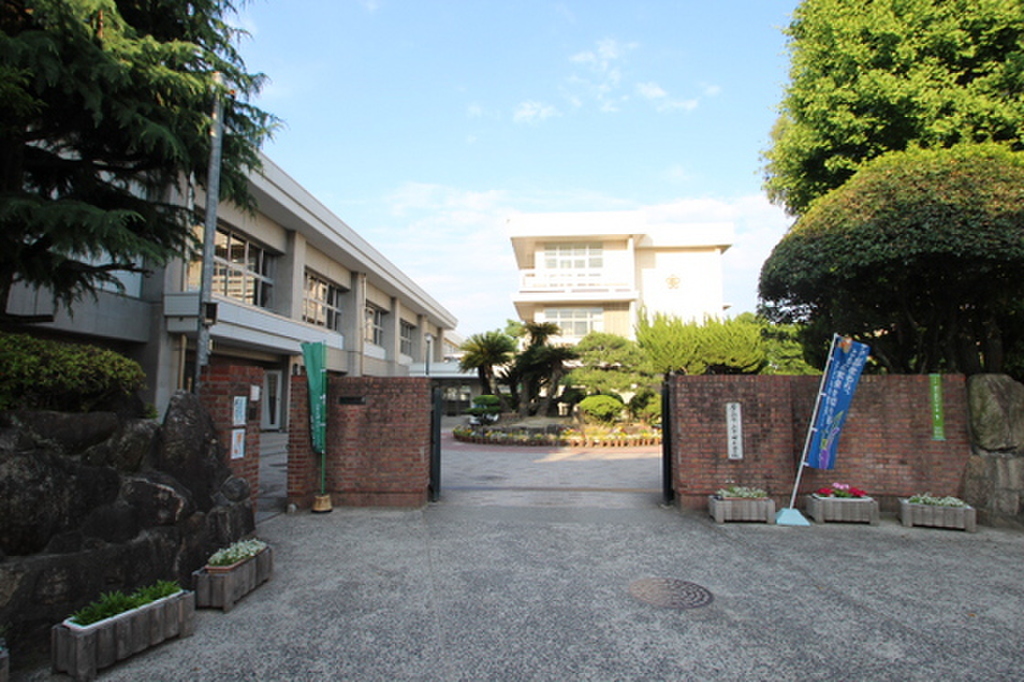 (14/20) 小学校