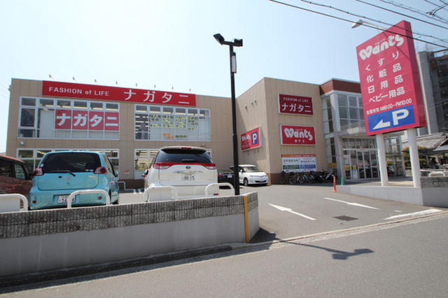 グレース古江