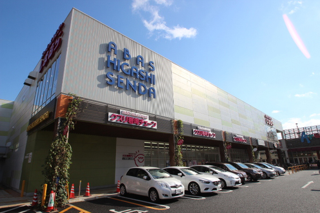 (28/30) ドラッグストア