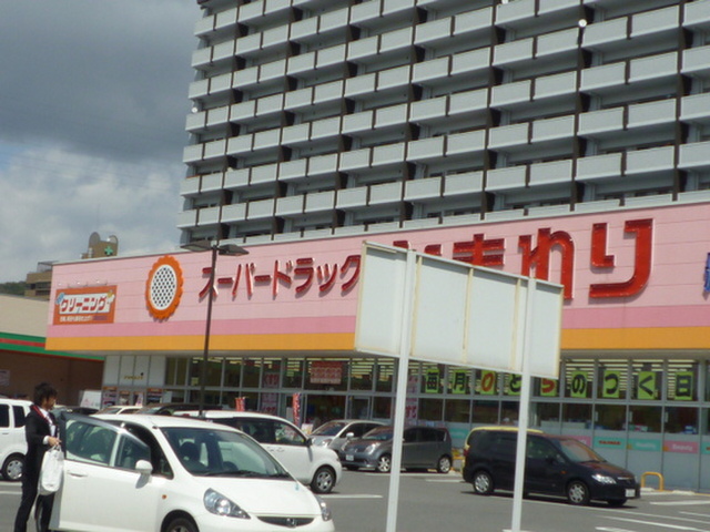 サンフラワー