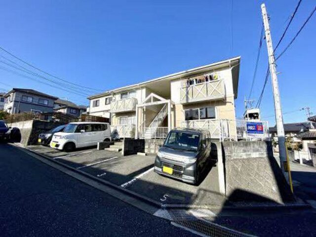 フローレンス向井