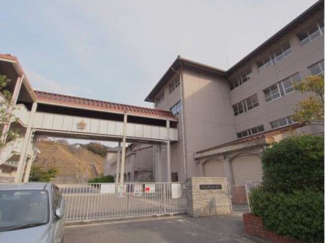 シーゲル(Siegel)