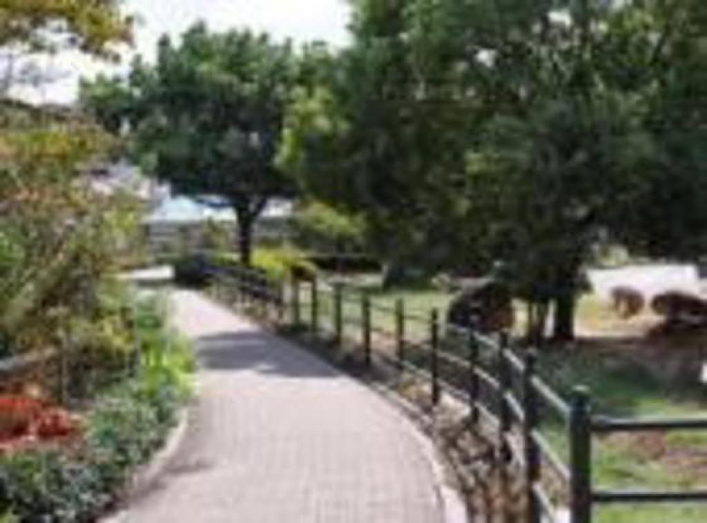 (29/30) 公園 (29/30) 公園