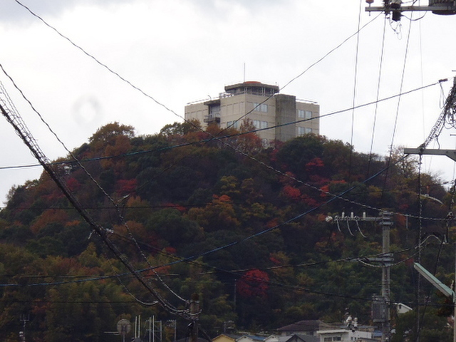 大一ヒルズ