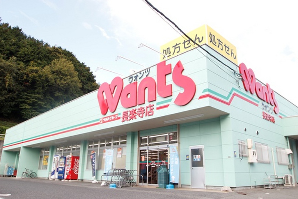 (22/22) ドラッグストア