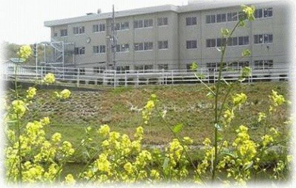 (15/16) 小学校